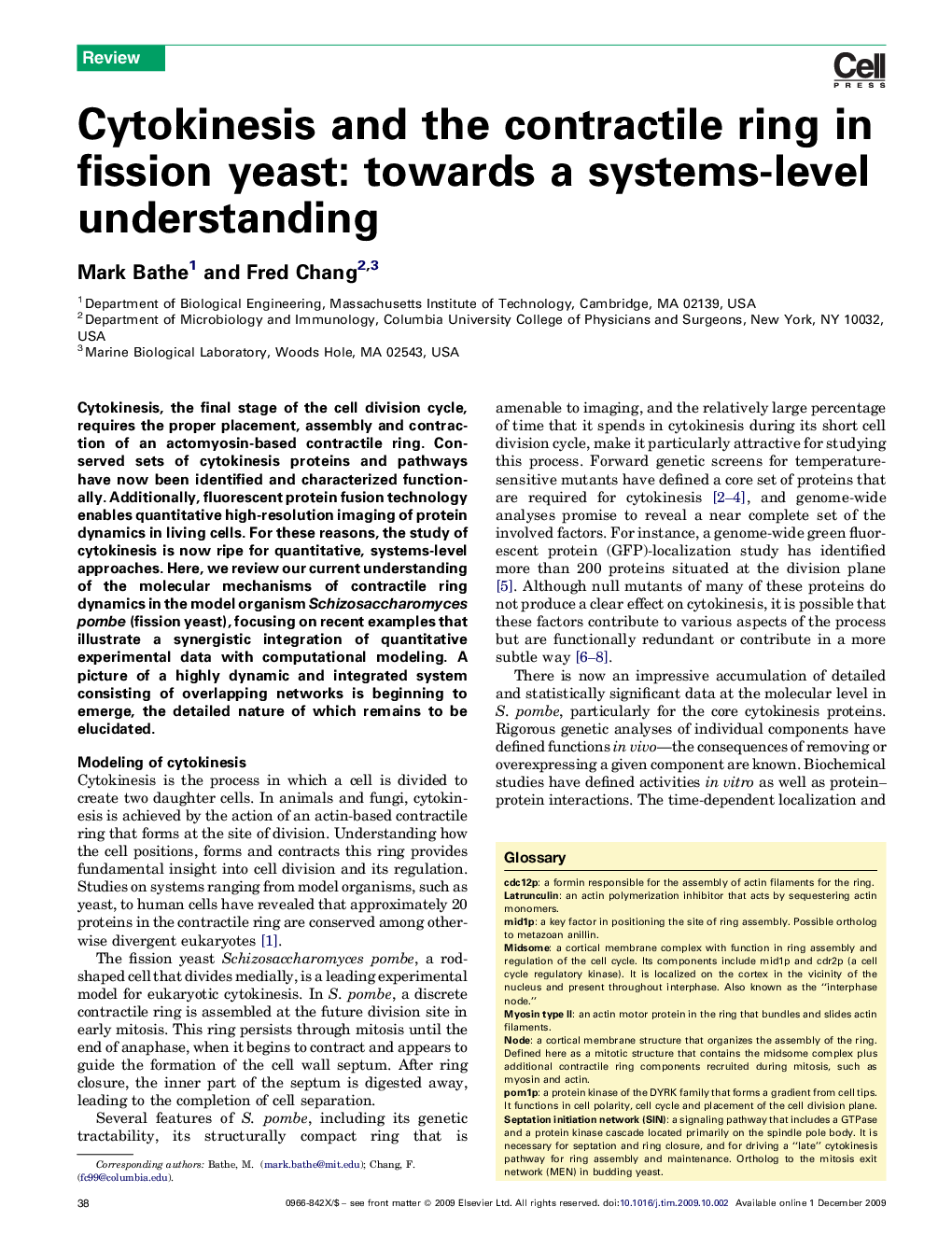 Cytokinesis and the contractile ring in fission yeast: towards a systems-level understanding