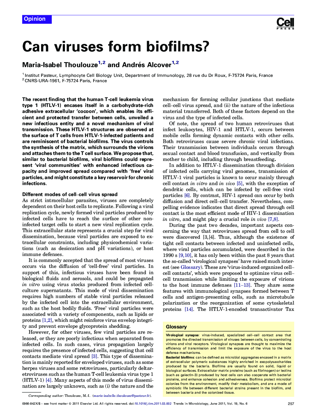 Can viruses form biofilms?