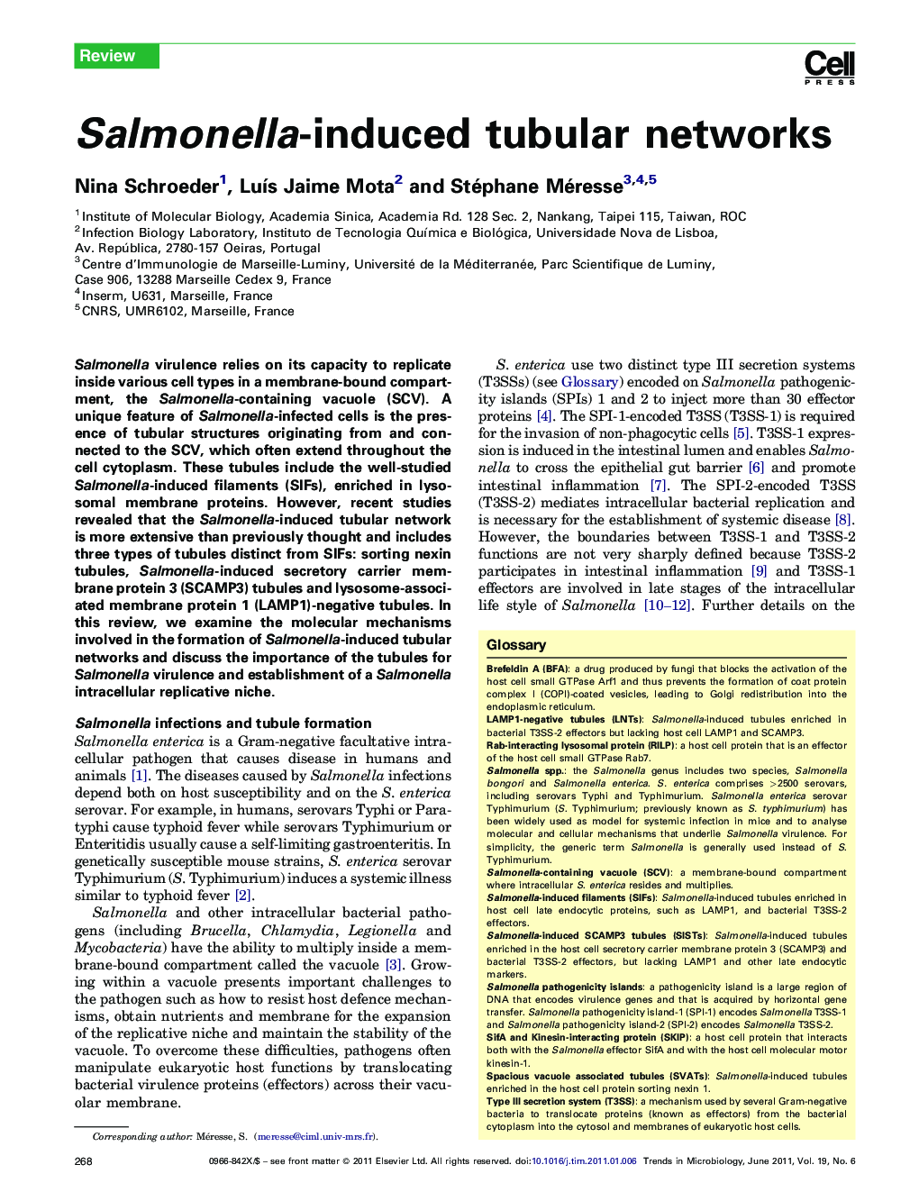 Salmonella-induced tubular networks