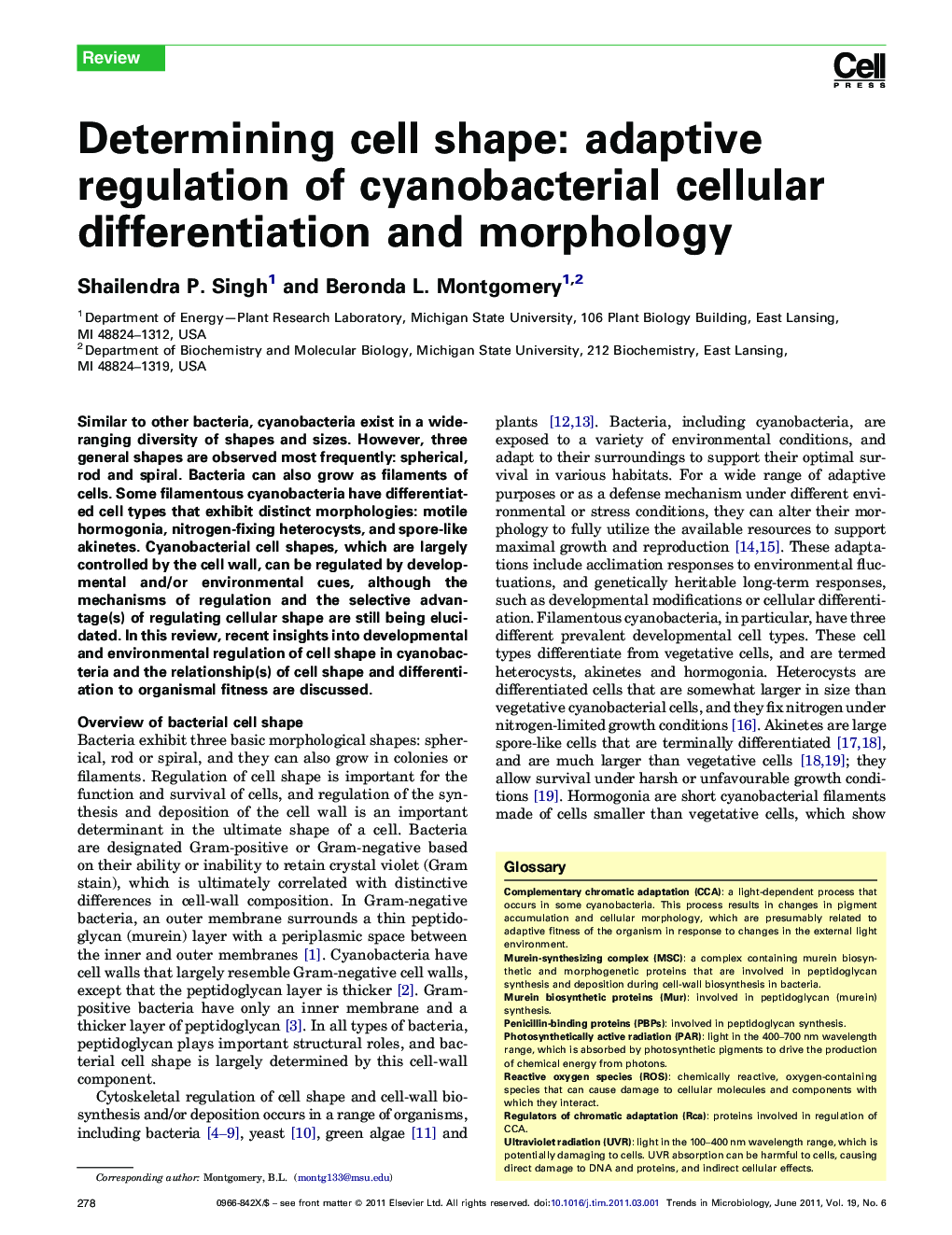 عکس صفحه اول مقاله: Determining cell shape: adaptive regulation of cyanobacterial cellular differentiation and morphology Determining cell shape: adaptive regulation of cyanobacterial cellular differentiation and morphology