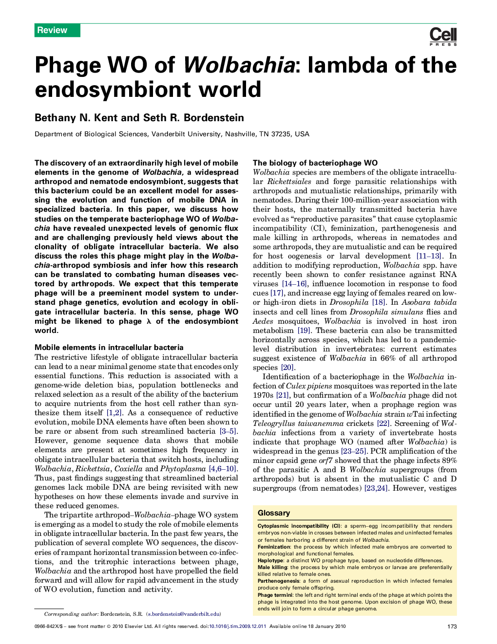 Phage WO of Wolbachia: lambda of the endosymbiont world