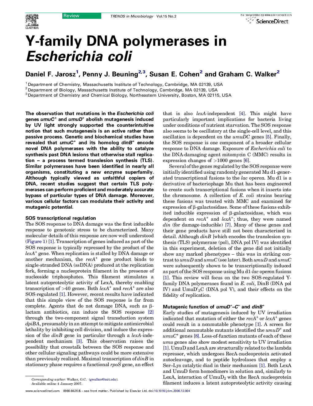 Y-family DNA polymerases in Escherichia coli