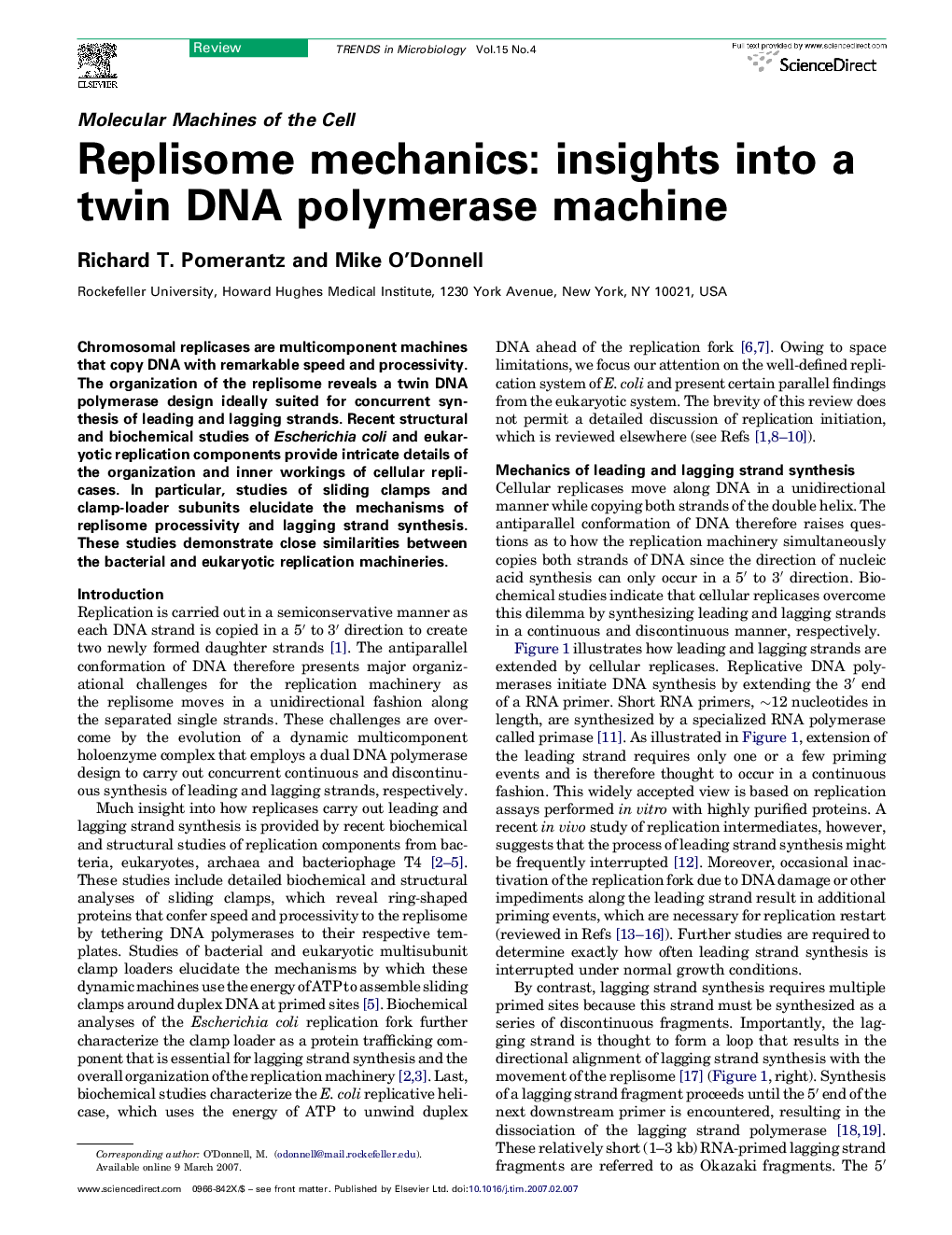 Replisome mechanics: insights into a twin DNA polymerase machine