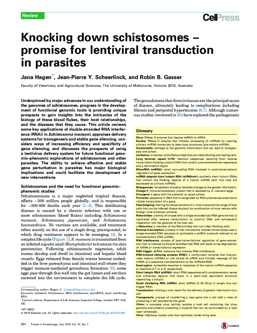 Knocking down schistosomes – promise for lentiviral transduction in parasites