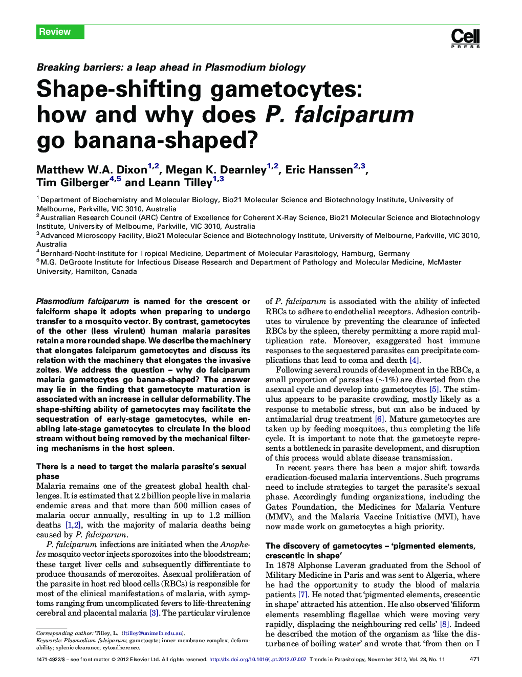 Shape-shifting gametocytes: how and why does P. falciparum go banana-shaped?