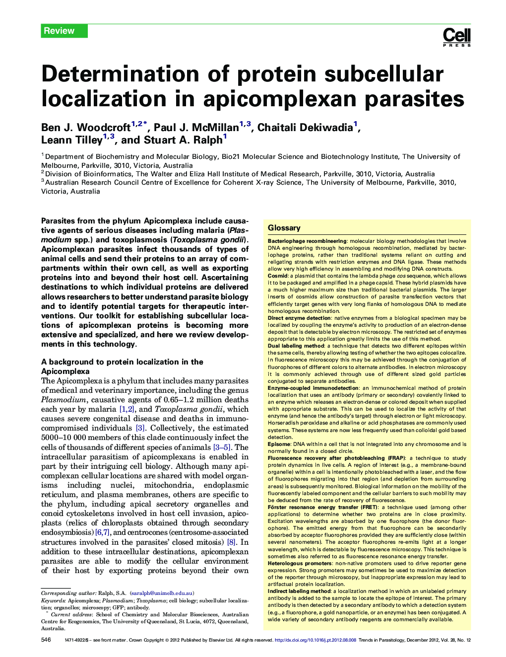 Determination of protein subcellular localization in apicomplexan parasites