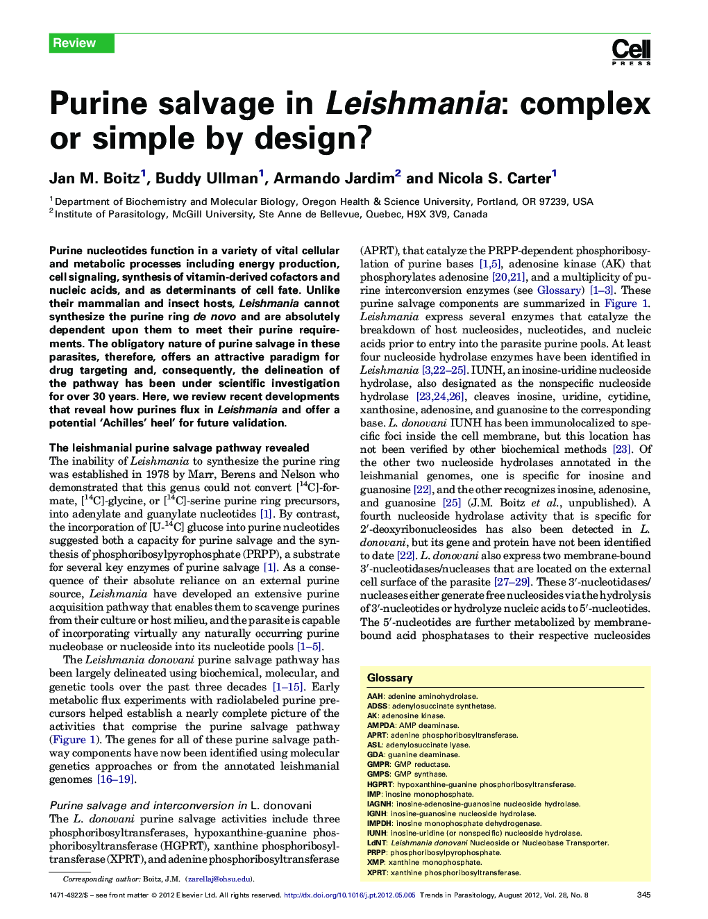 Purine salvage in Leishmania: complex or simple by design?