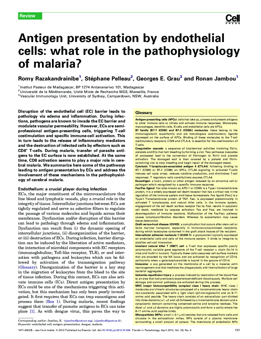 Antigen presentation by endothelial cells: what role in the pathophysiology of malaria?