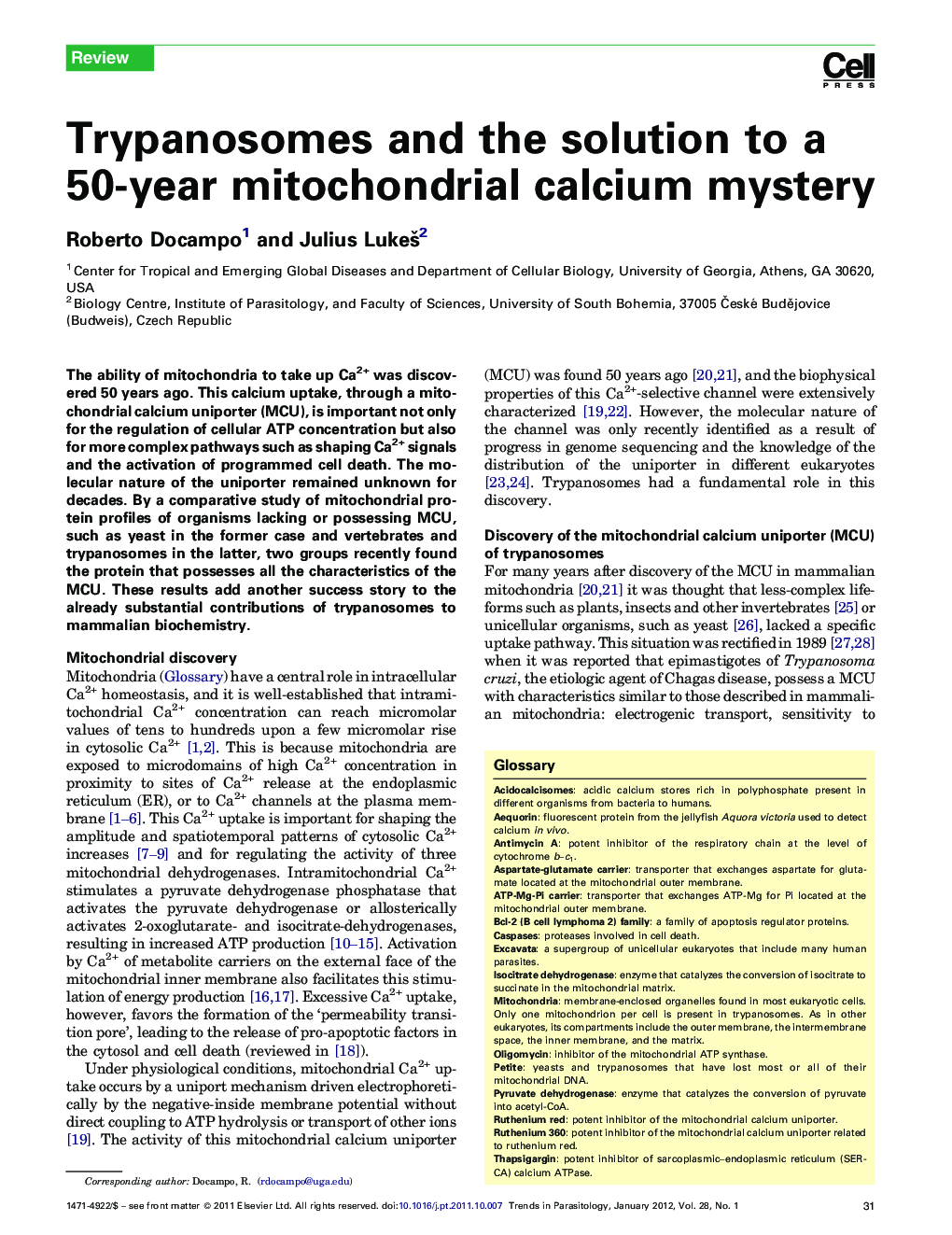 Trypanosomes and the solution to a 50-year mitochondrial calcium mystery