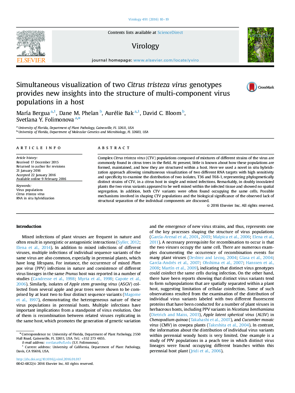 Simultaneous visualization of two Citrus tristeza virus genotypes provides new insights into the structure of multi-component virus populations in a host