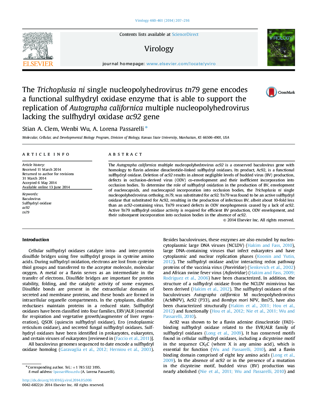 The Trichoplusia ni single nucleopolyhedrovirus tn79 gene encodes a functional sulfhydryl oxidase enzyme that is able to support the replication of Autographa californica multiple nucleopolyhedrovirus lacking the sulfhydryl oxidase ac92 gene