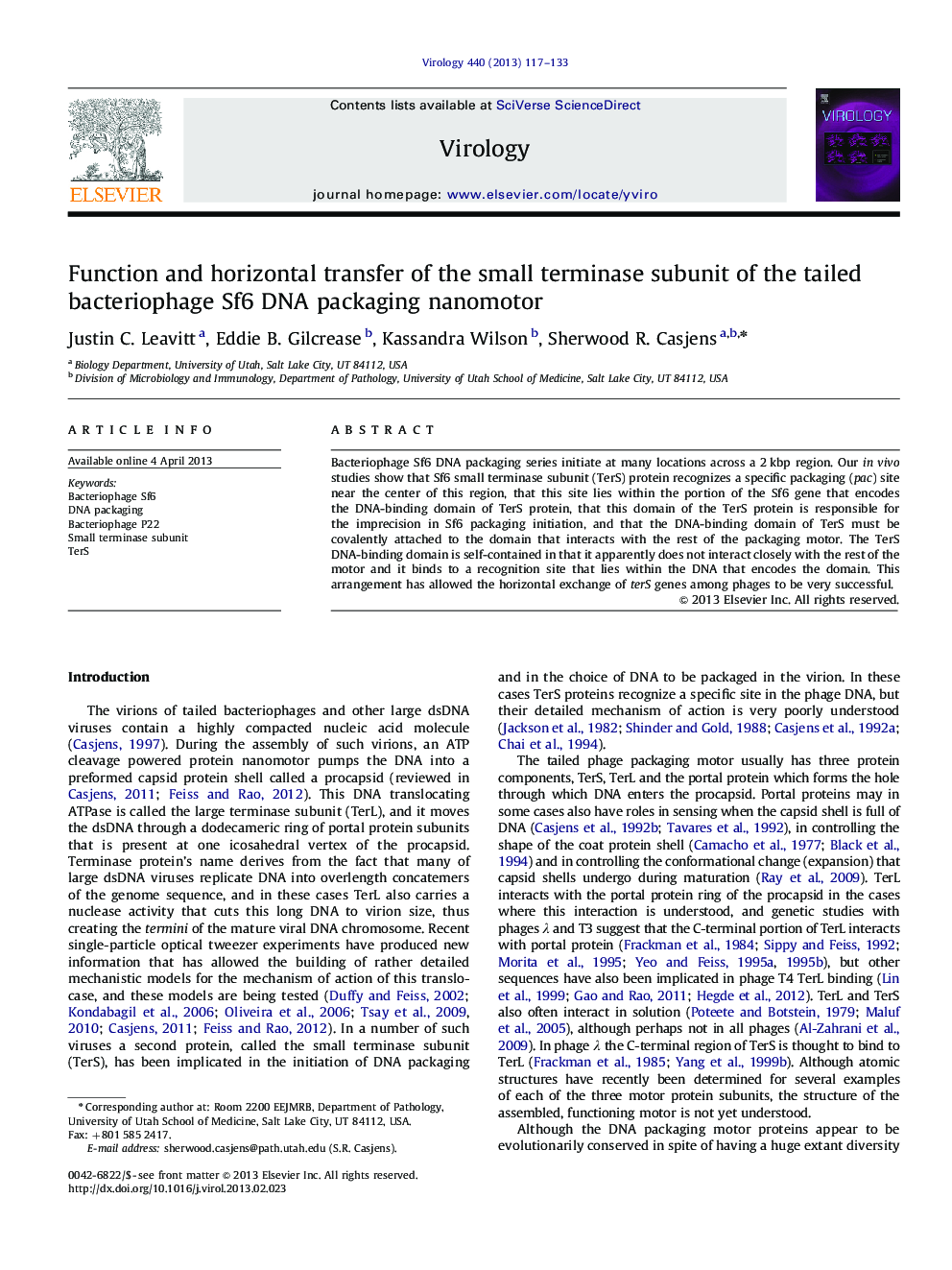 Function and horizontal transfer of the small terminase subunit of the tailed bacteriophage Sf6 DNA packaging nanomotor
