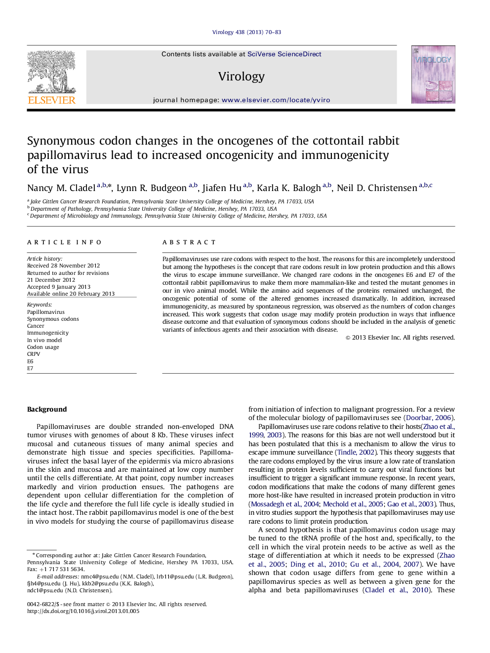 Synonymous codon changes in the oncogenes of the cottontail rabbit papillomavirus lead to increased oncogenicity and immunogenicity of the virus