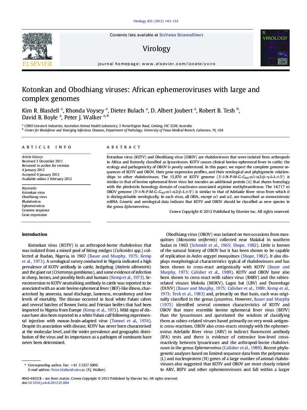 Kotonkan and Obodhiang viruses: African ephemeroviruses with large and complex genomes