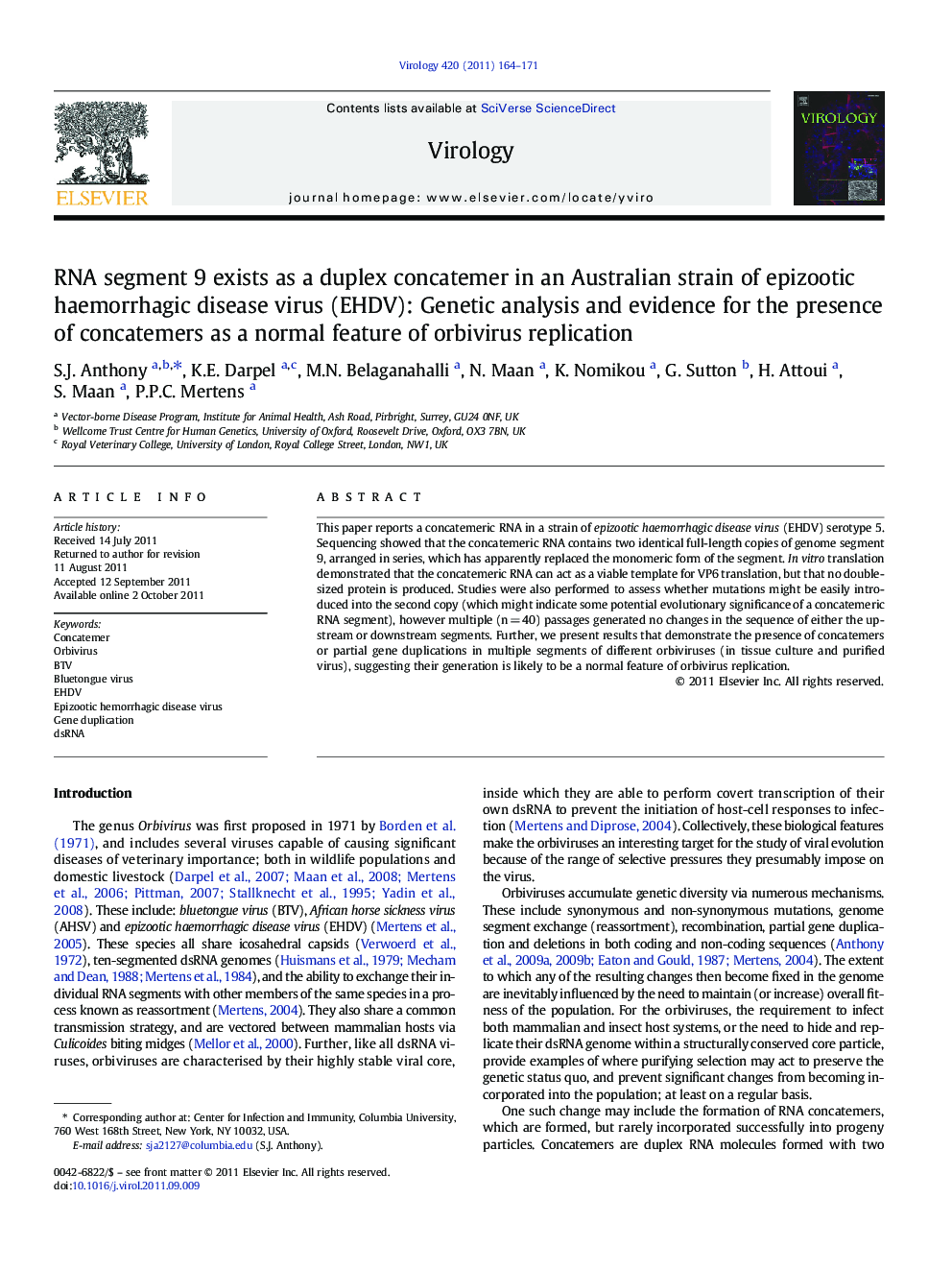 RNA segment 9 exists as a duplex concatemer in an Australian strain of epizootic haemorrhagic disease virus (EHDV): Genetic analysis and evidence for the presence of concatemers as a normal feature of orbivirus replication