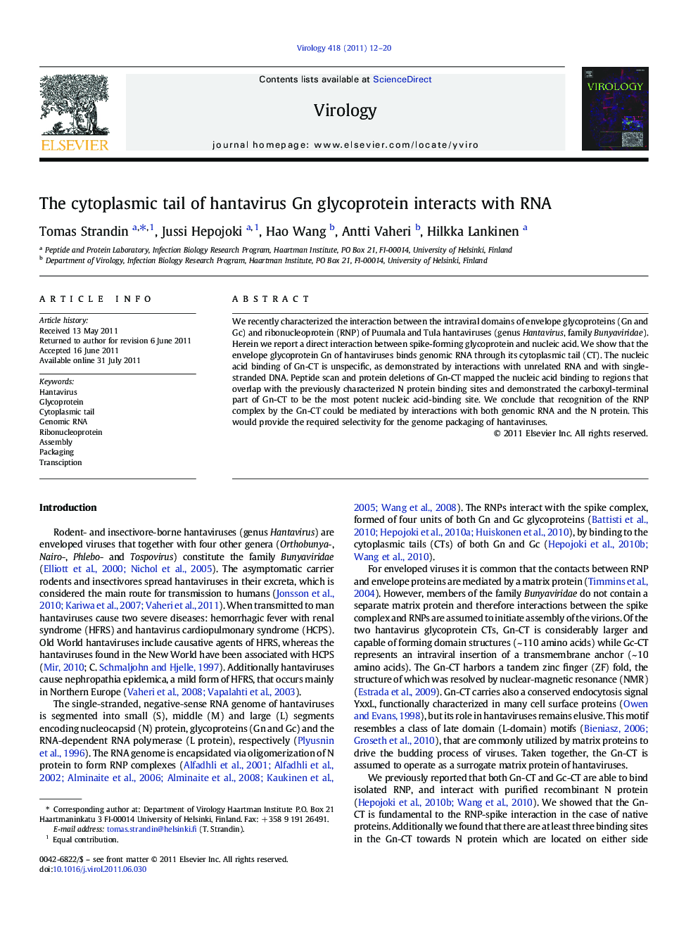 The cytoplasmic tail of hantavirus Gn glycoprotein interacts with RNA