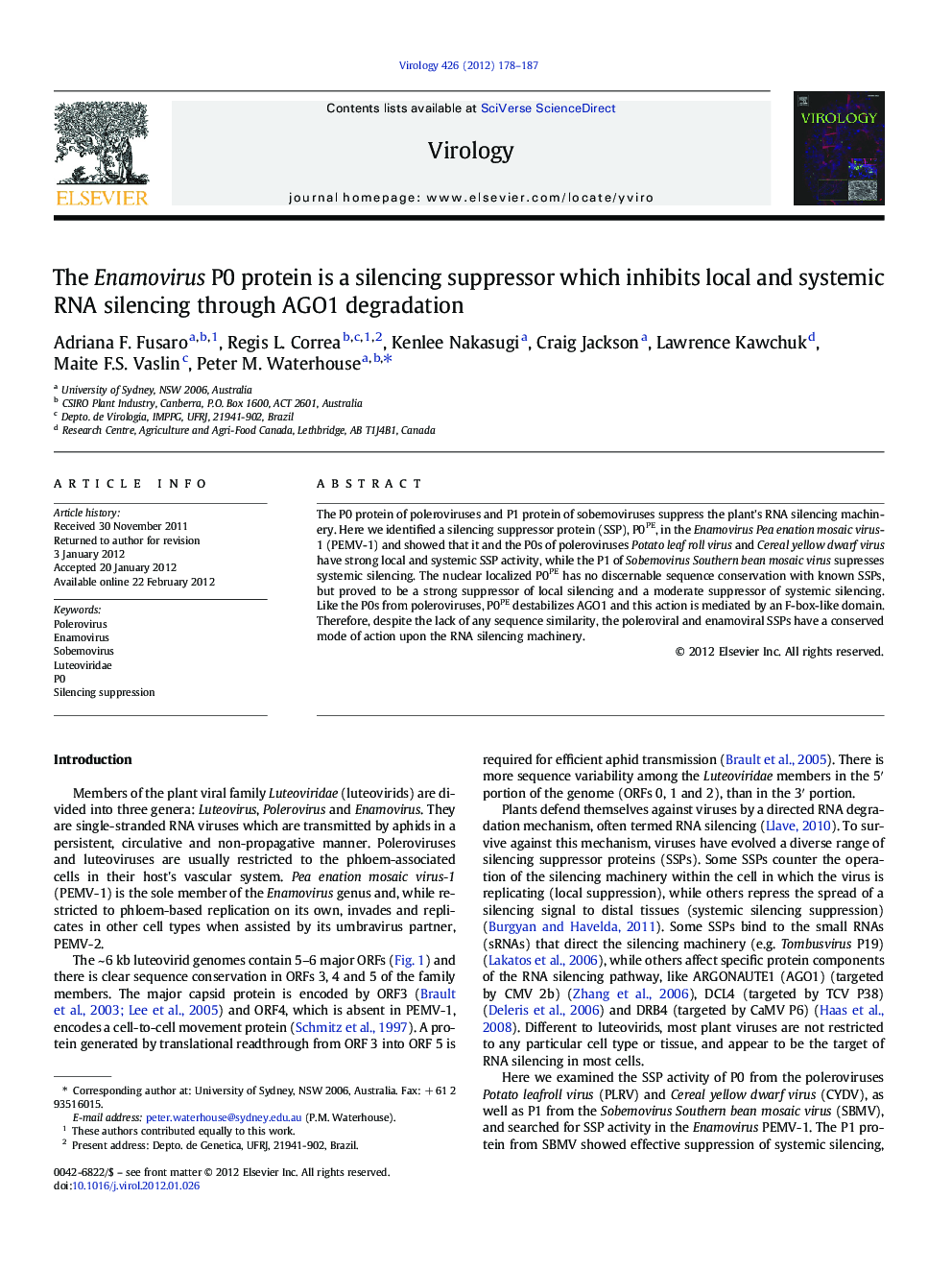 The Enamovirus P0 protein is a silencing suppressor which inhibits local and systemic RNA silencing through AGO1 degradation