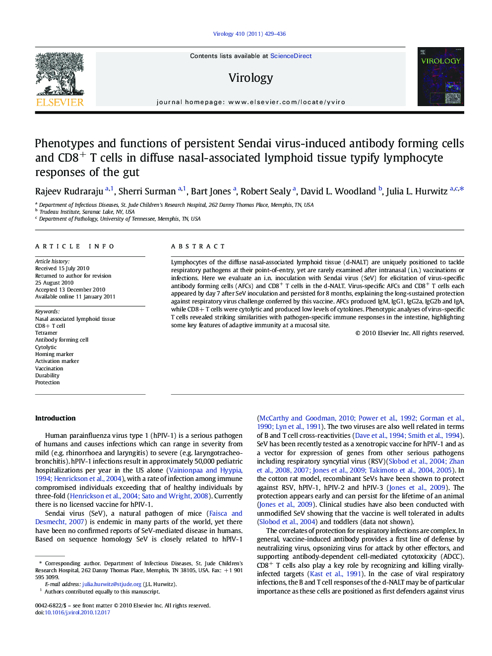 Phenotypes and functions of persistent Sendai virus-induced antibody forming cells and CD8+ T cells in diffuse nasal-associated lymphoid tissue typify lymphocyte responses of the gut