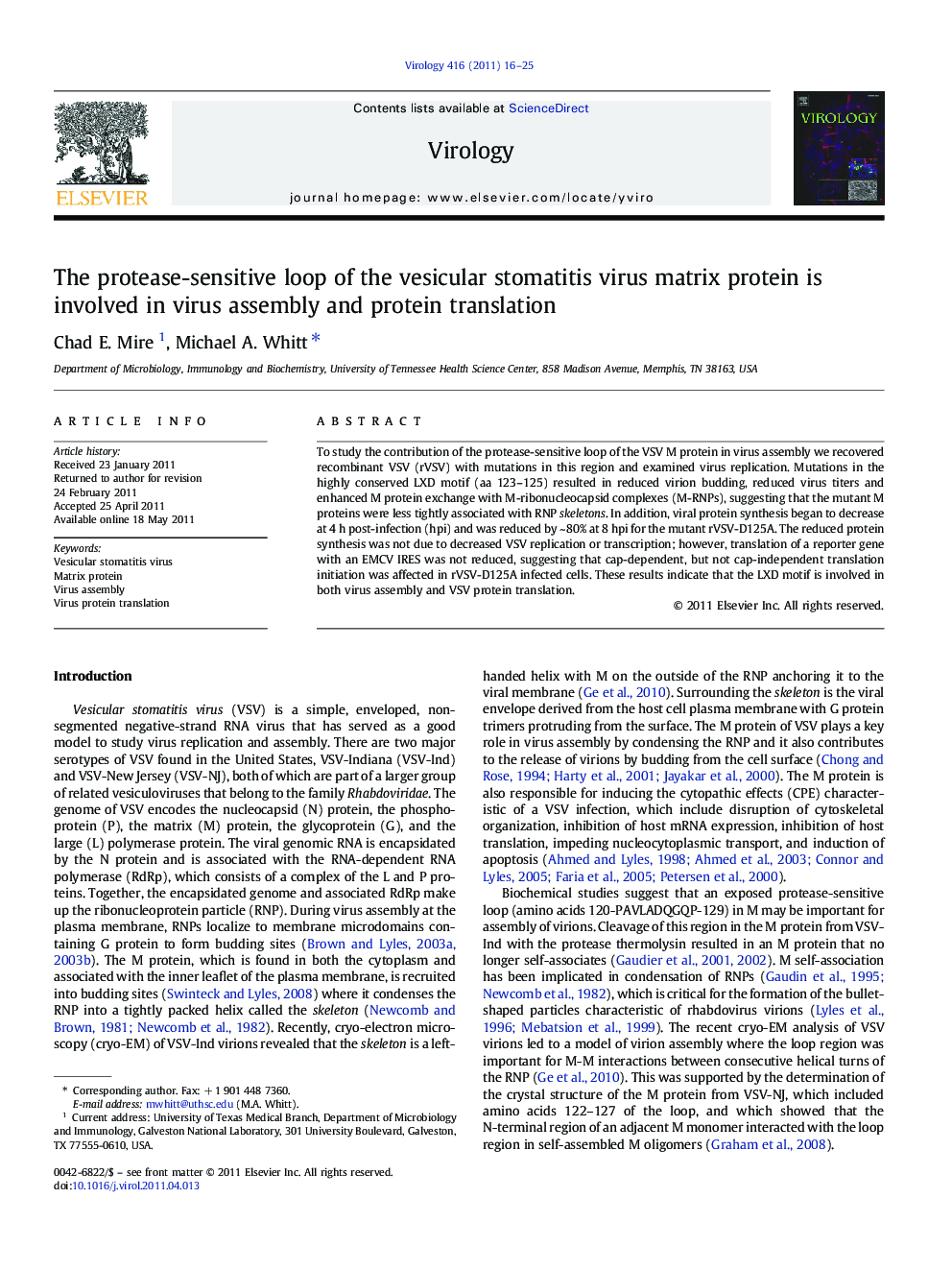 The protease-sensitive loop of the vesicular stomatitis virus matrix protein is involved in virus assembly and protein translation