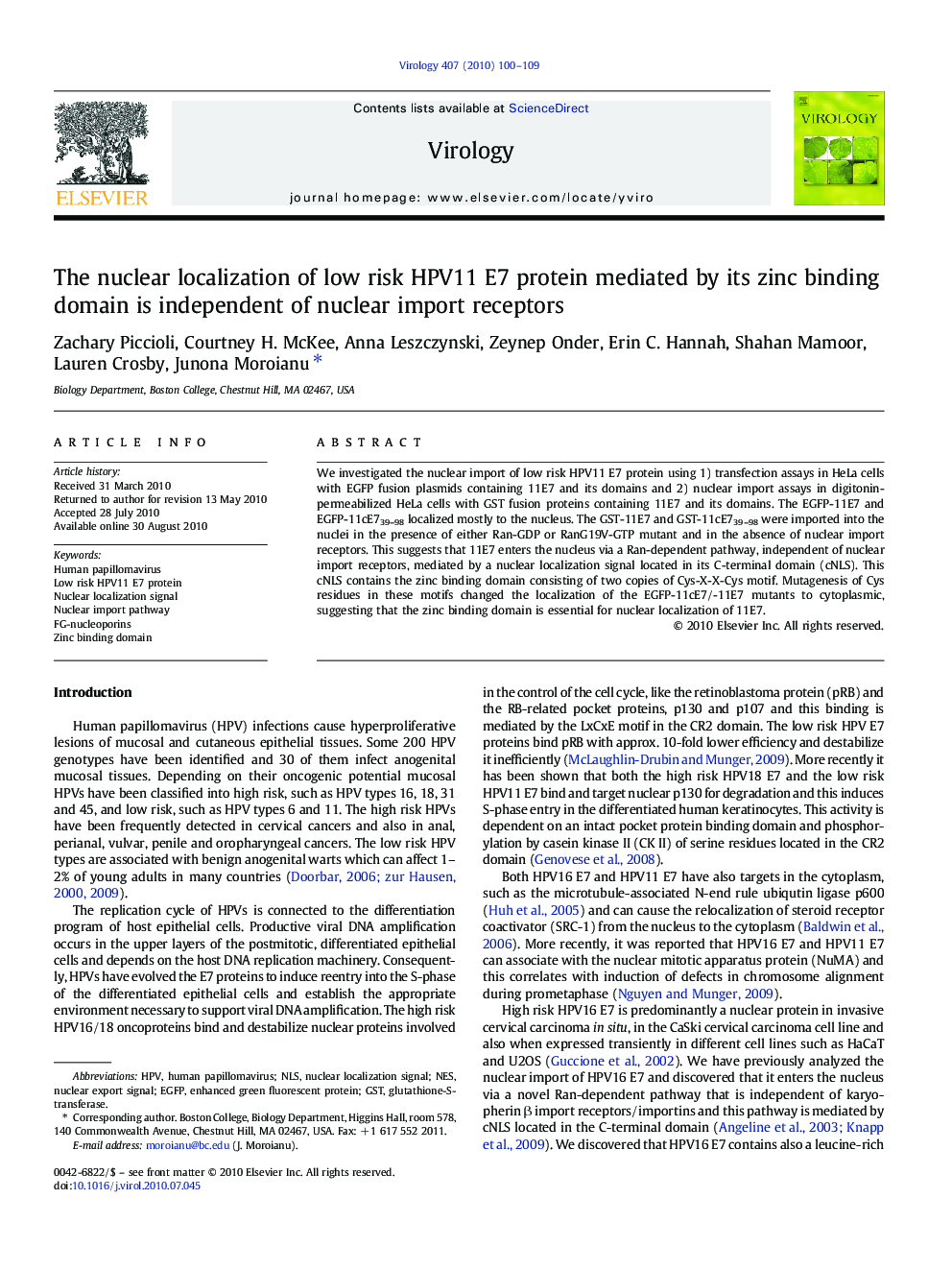 The nuclear localization of low risk HPV11 E7 protein mediated by its zinc binding domain is independent of nuclear import receptors