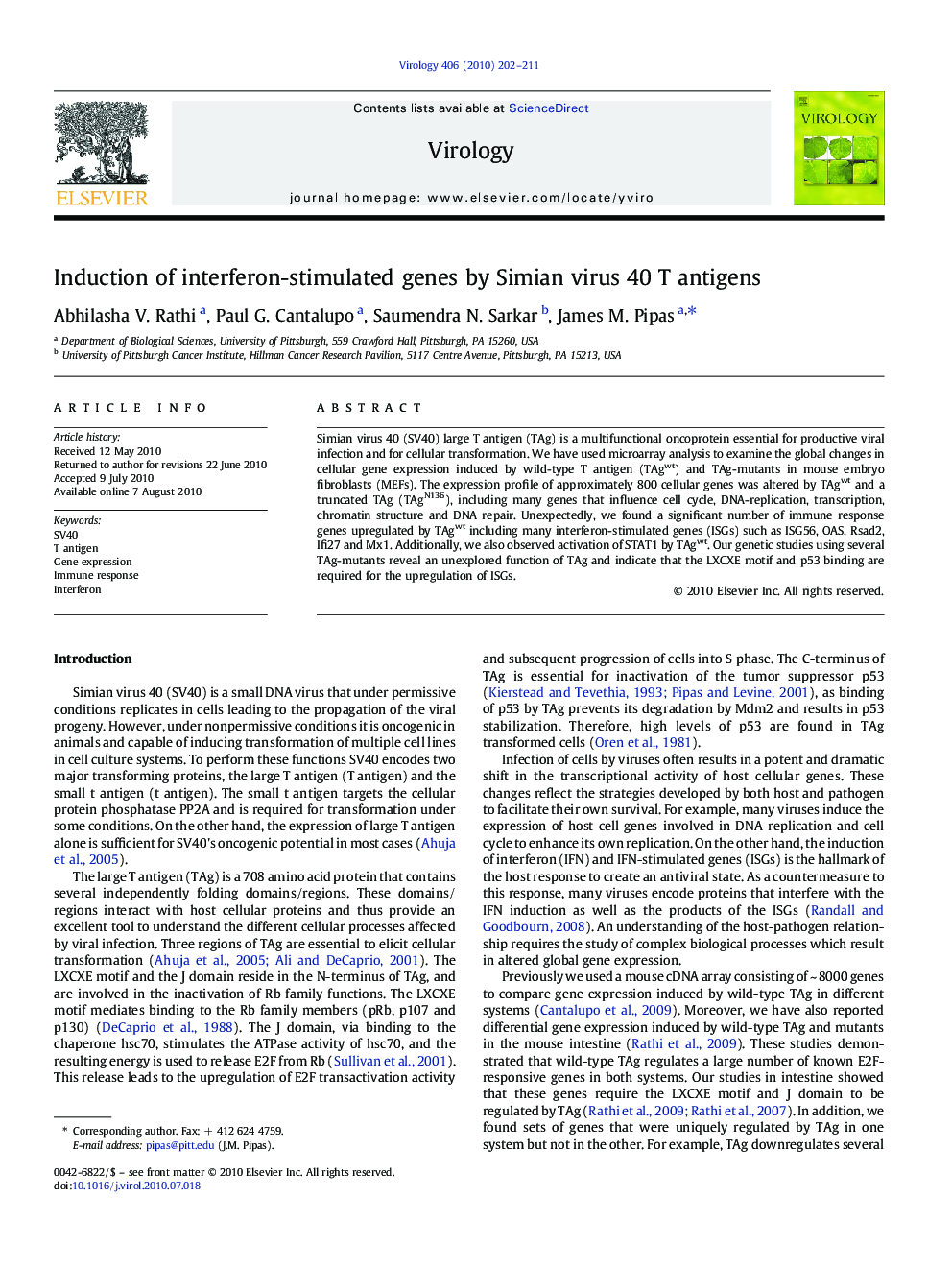 Induction of interferon-stimulated genes by Simian virus 40 T antigens