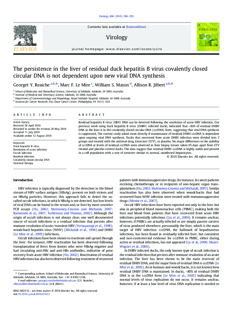 The persistence in the liver of residual duck hepatitis B virus covalently closed circular DNA is not dependent upon new viral DNA synthesis