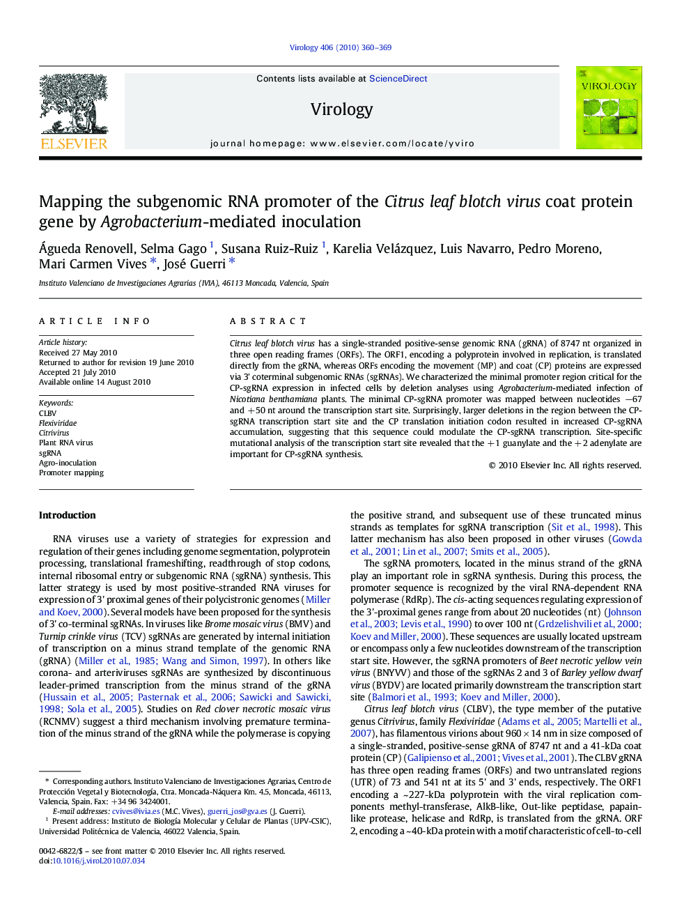 Mapping the subgenomic RNA promoter of the Citrus leaf blotch virus coat protein gene by Agrobacterium-mediated inoculation