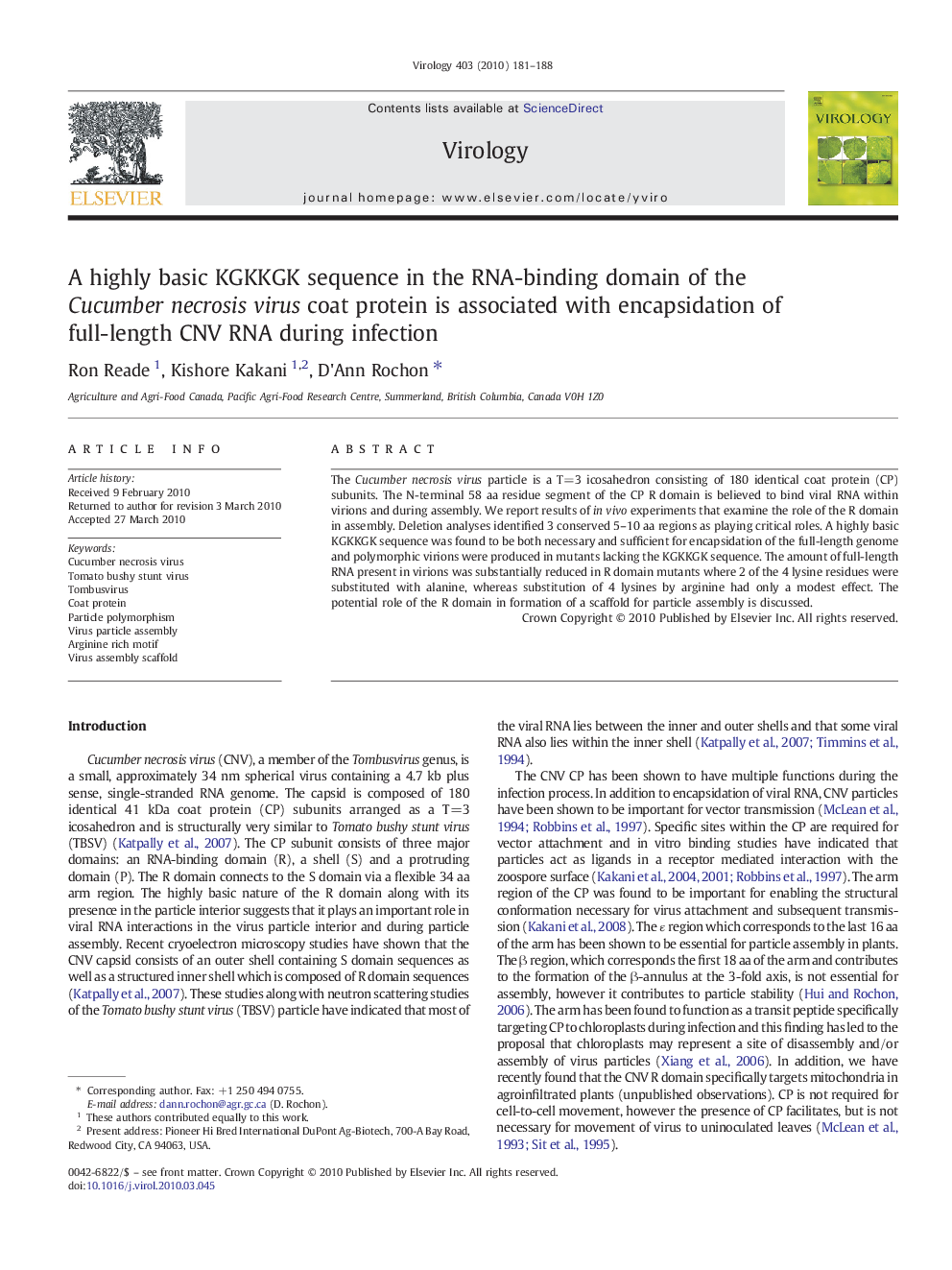 A highly basic KGKKGK sequence in the RNA-binding domain of the Cucumber necrosis virus coat protein is associated with encapsidation of full-length CNV RNA during infection