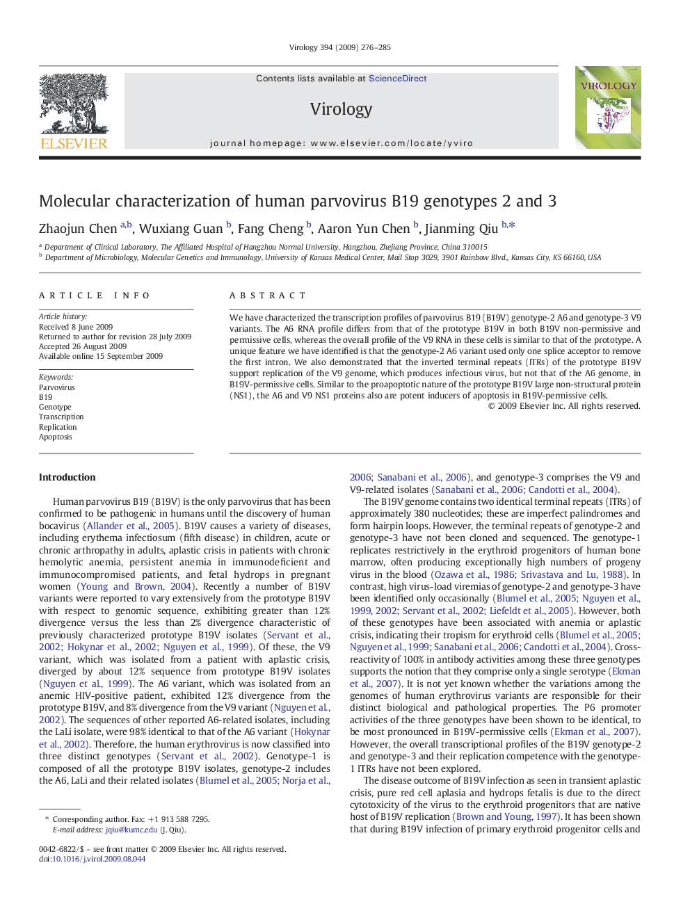 Molecular characterization of human parvovirus B19 genotypes 2 and 3