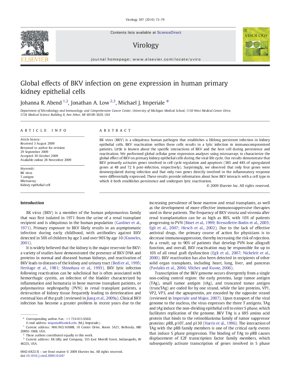 Global effects of BKV infection on gene expression in human primary kidney epithelial cells