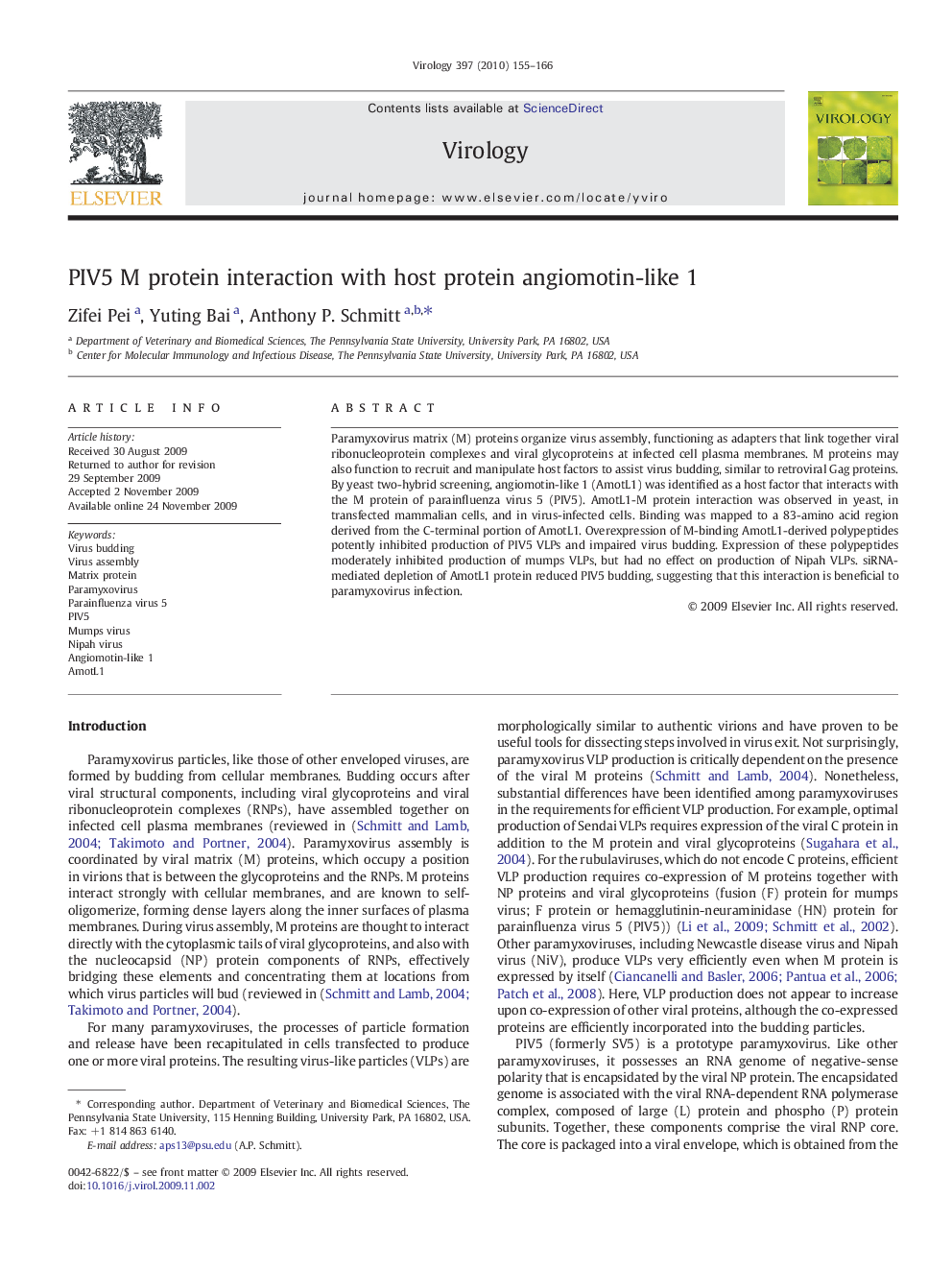 PIV5 M protein interaction with host protein angiomotin-like 1