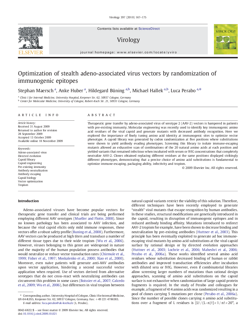 Optimization of stealth adeno-associated virus vectors by randomization of immunogenic epitopes