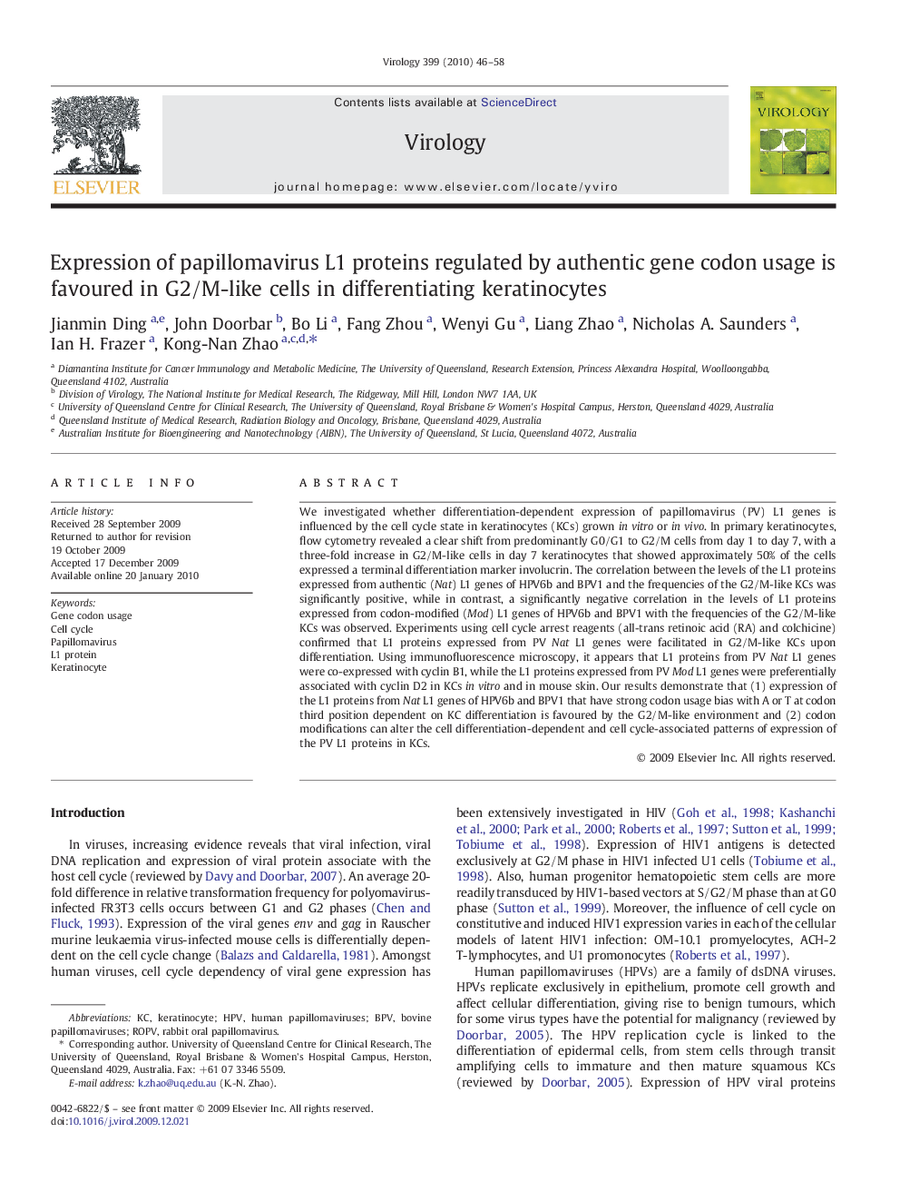 Expression of papillomavirus L1 proteins regulated by authentic gene codon usage is favoured in G2/M-like cells in differentiating keratinocytes