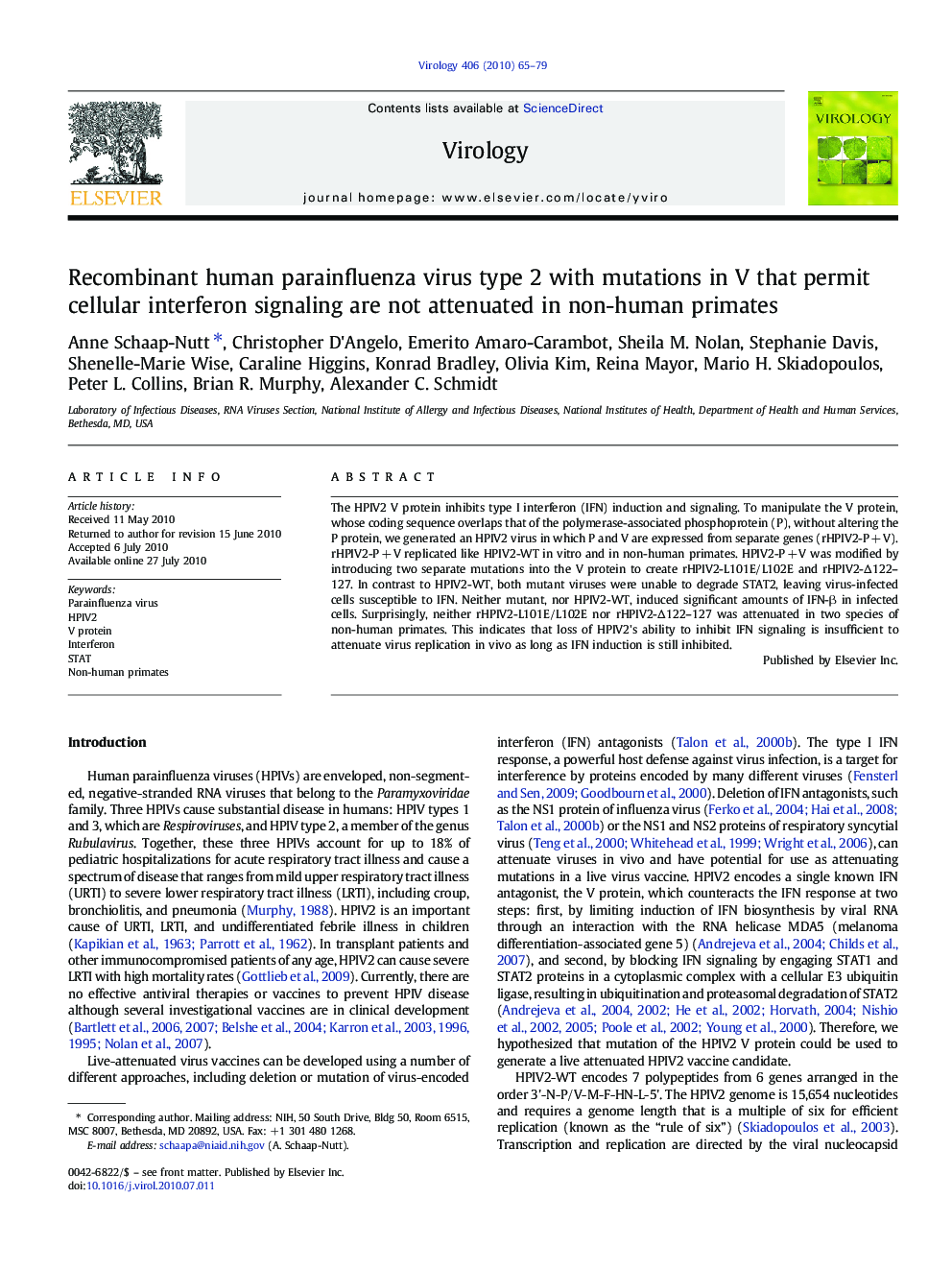 Recombinant human parainfluenza virus type 2 with mutations in V that permit cellular interferon signaling are not attenuated in non-human primates