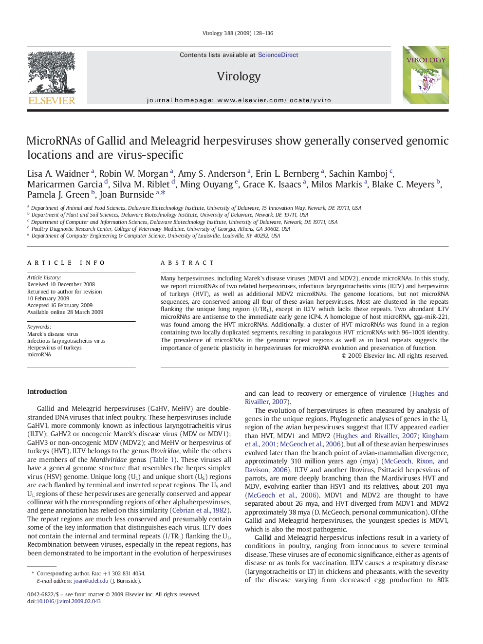 MicroRNAs of Gallid and Meleagrid herpesviruses show generally conserved genomic locations and are virus-specific