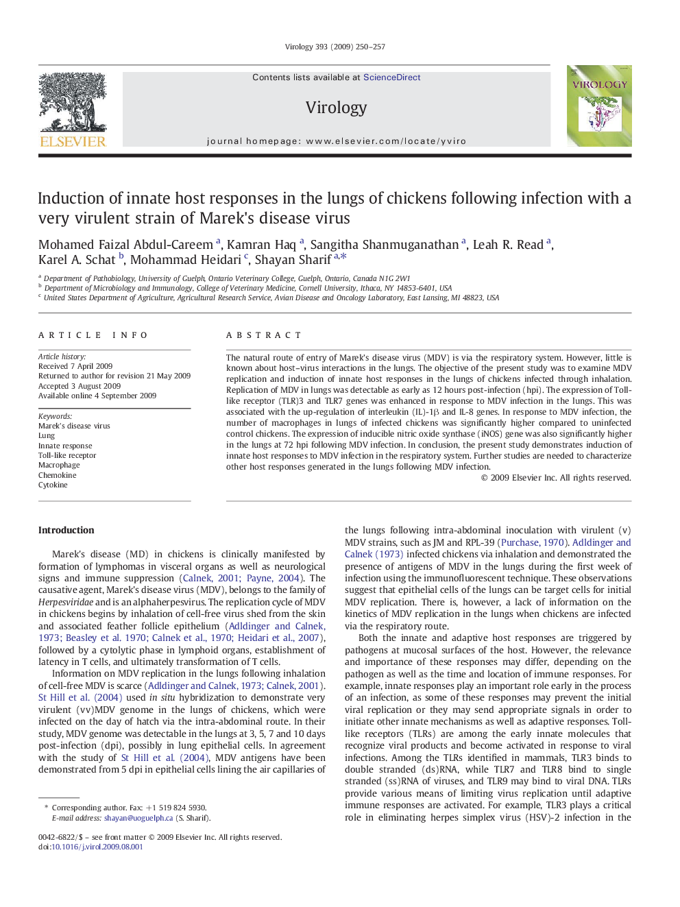 Induction of innate host responses in the lungs of chickens following infection with a very virulent strain of Marek's disease virus