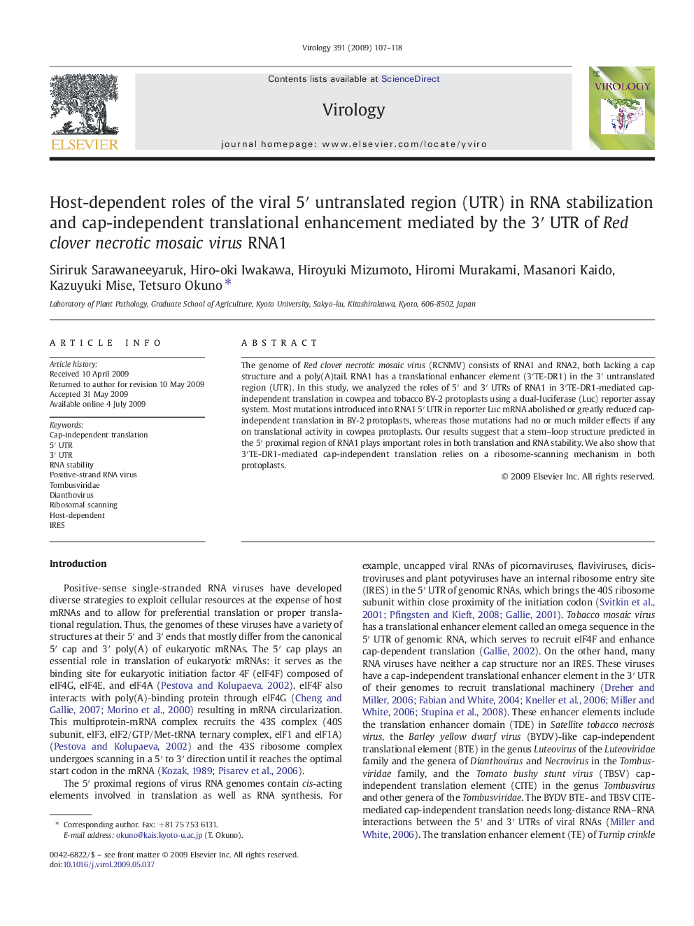 Host-dependent roles of the viral 5′ untranslated region (UTR) in RNA stabilization and cap-independent translational enhancement mediated by the 3′ UTR of Red clover necrotic mosaic virus RNA1