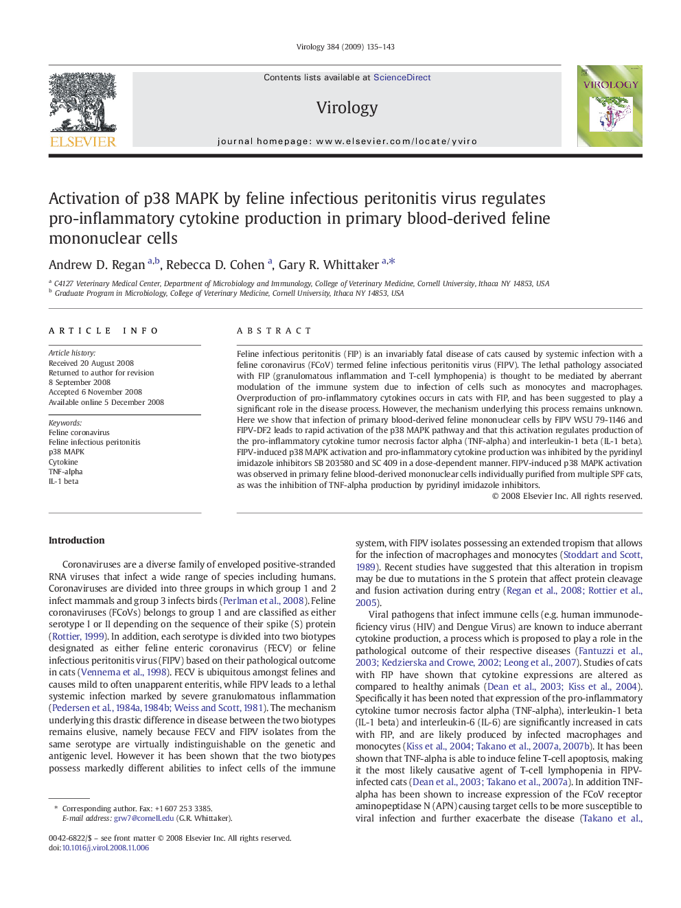 Activation of p38 MAPK by feline infectious peritonitis virus regulates pro-inflammatory cytokine production in primary blood-derived feline mononuclear cells