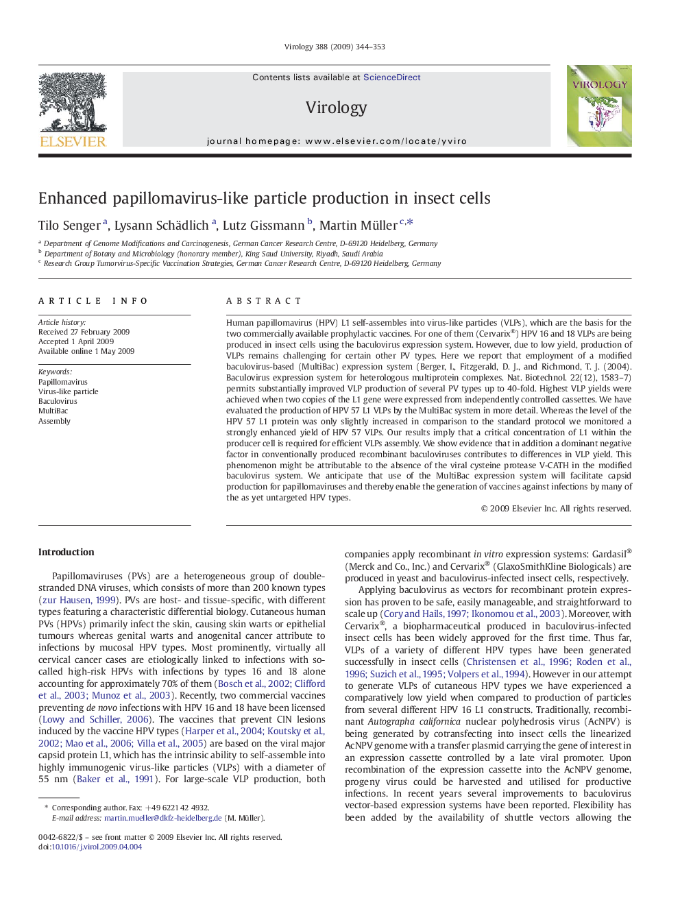 Enhanced papillomavirus-like particle production in insect cells