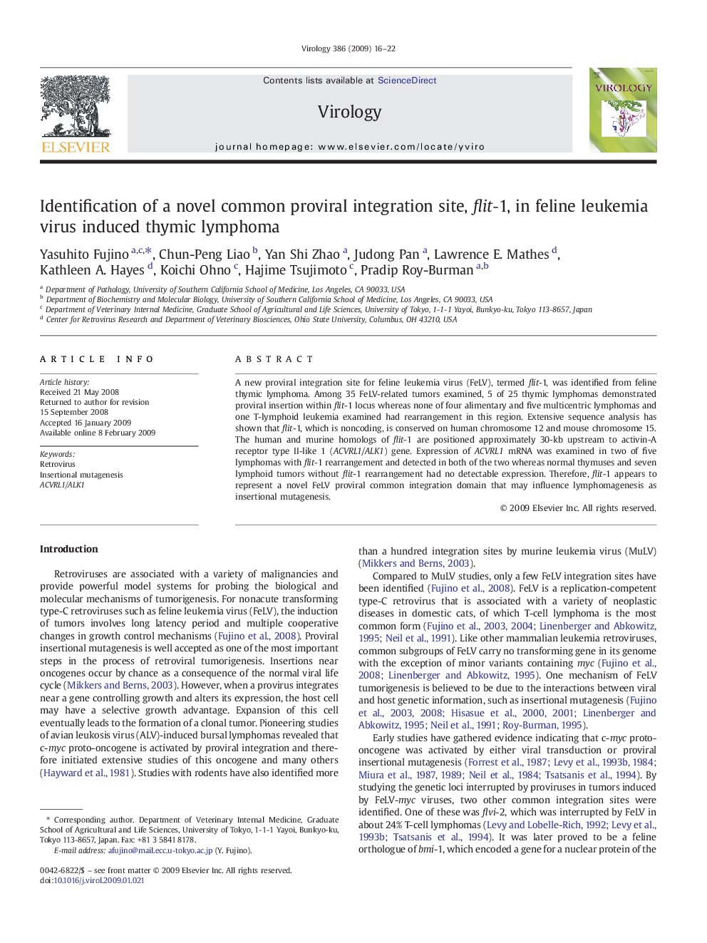 Identification of a novel common proviral integration site, flit-1, in feline leukemia virus induced thymic lymphoma