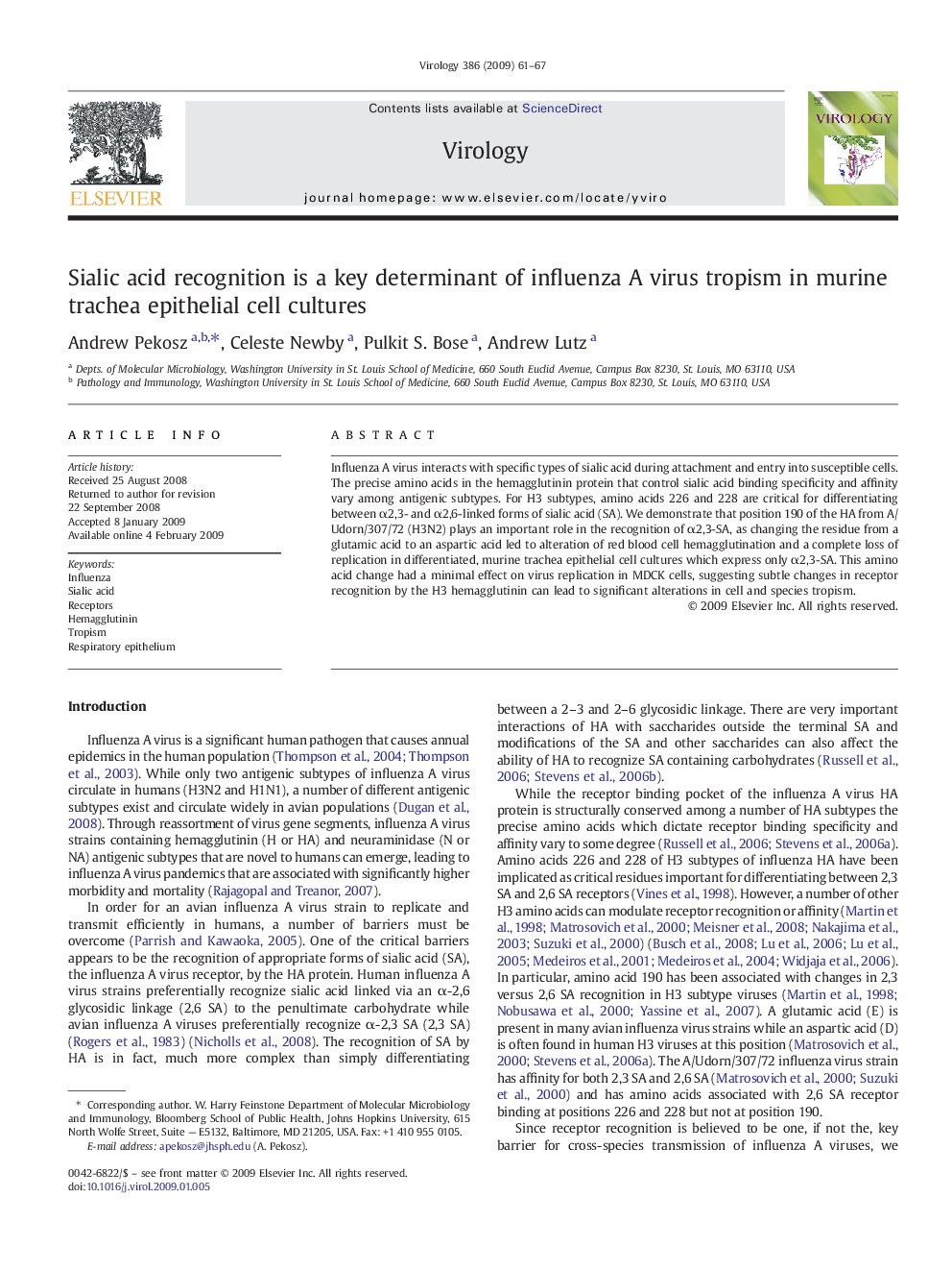 Sialic acid recognition is a key determinant of influenza A virus tropism in murine trachea epithelial cell cultures