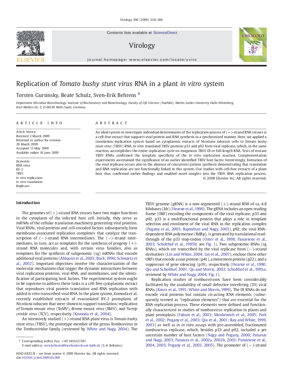 Replication of Tomato bushy stunt virus RNA in a plant in vitro system