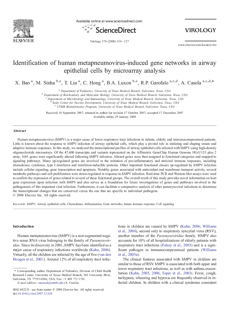 Identification of human metapneumovirus-induced gene networks in airway epithelial cells by microarray analysis