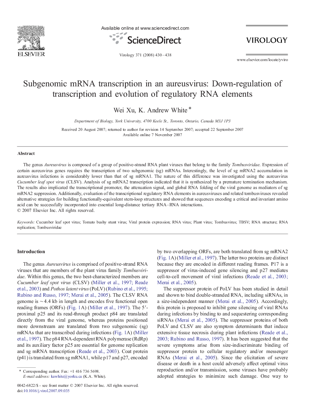 Subgenomic mRNA transcription in an aureusvirus: Down-regulation of transcription and evolution of regulatory RNA elements