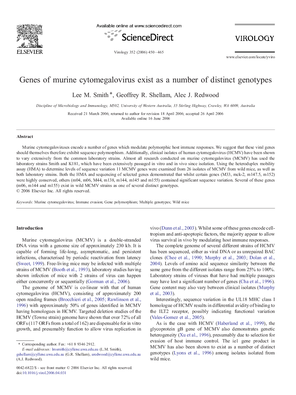 Genes of murine cytomegalovirus exist as a number of distinct genotypes