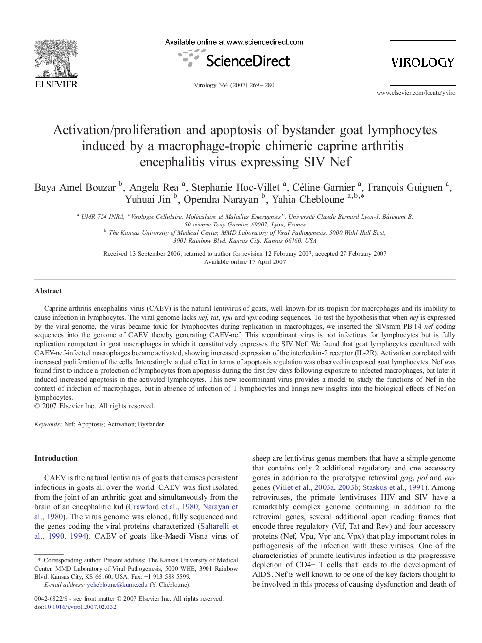 Activation/proliferation and apoptosis of bystander goat lymphocytes induced by a macrophage-tropic chimeric caprine arthritis encephalitis virus expressing SIV Nef