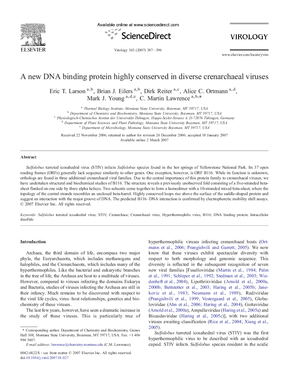 A new DNA binding protein highly conserved in diverse crenarchaeal viruses