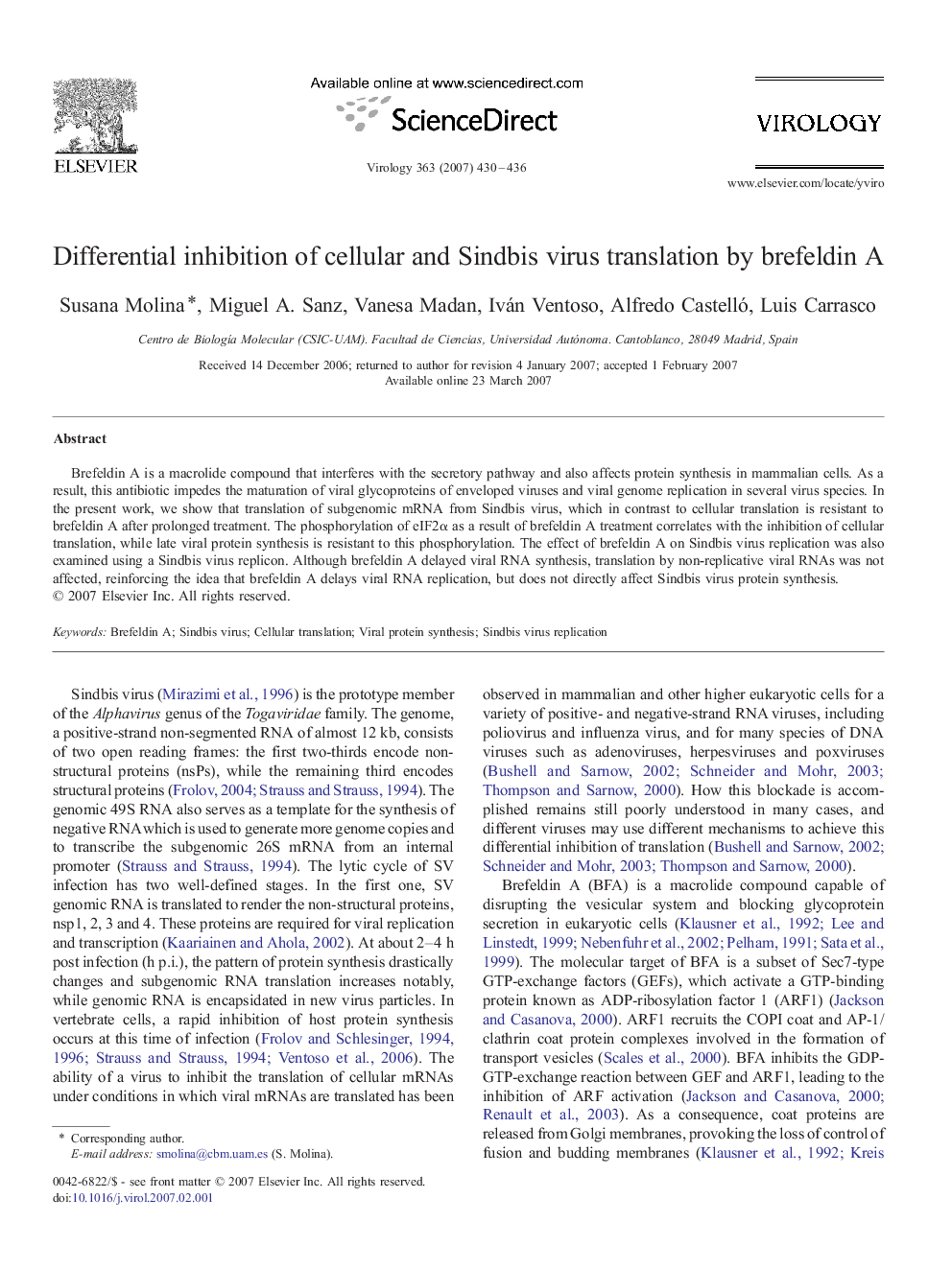 Differential inhibition of cellular and Sindbis virus translation by brefeldin A