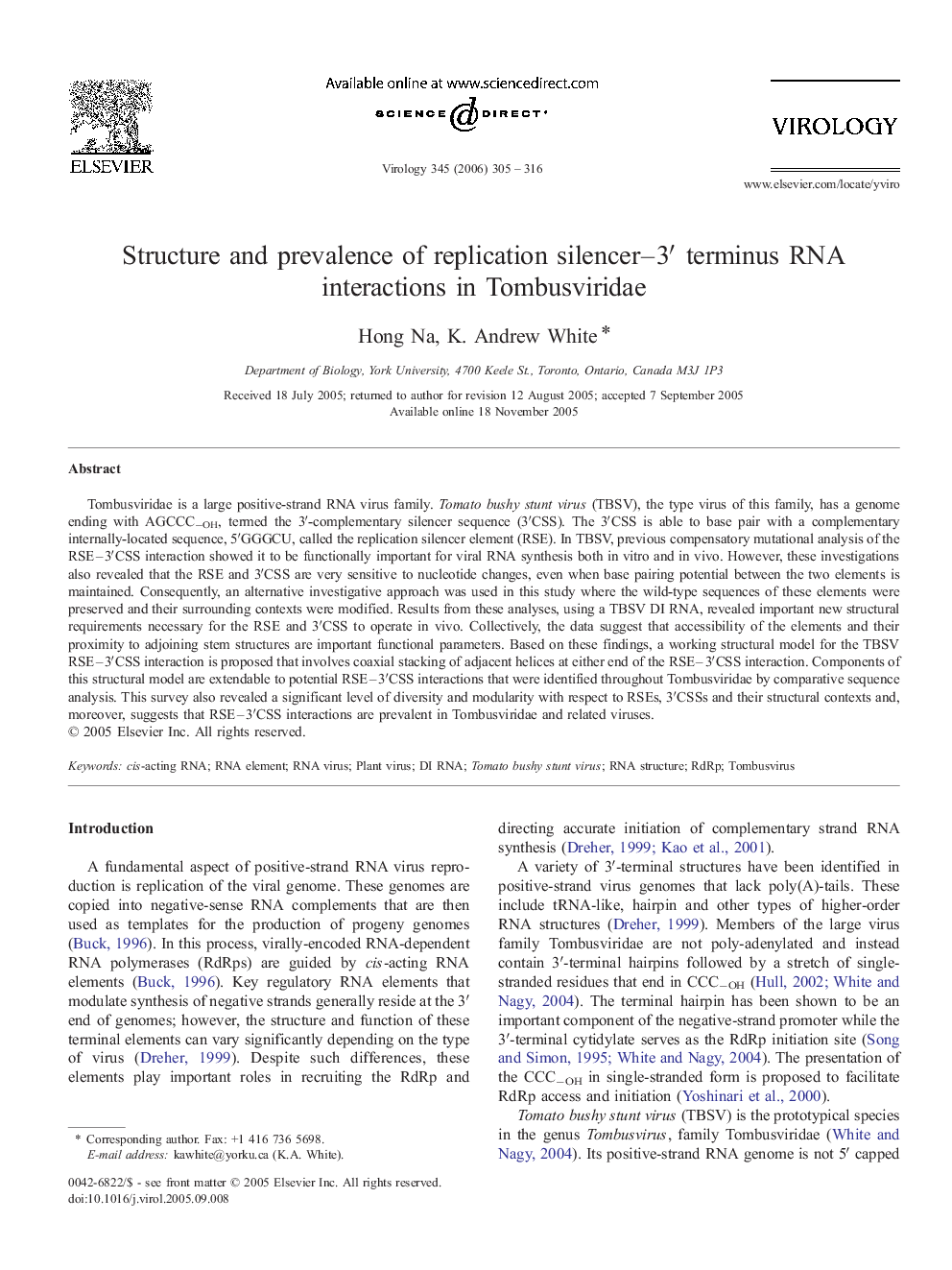 Structure and prevalence of replication silencer–3′ terminus RNA interactions in Tombusviridae