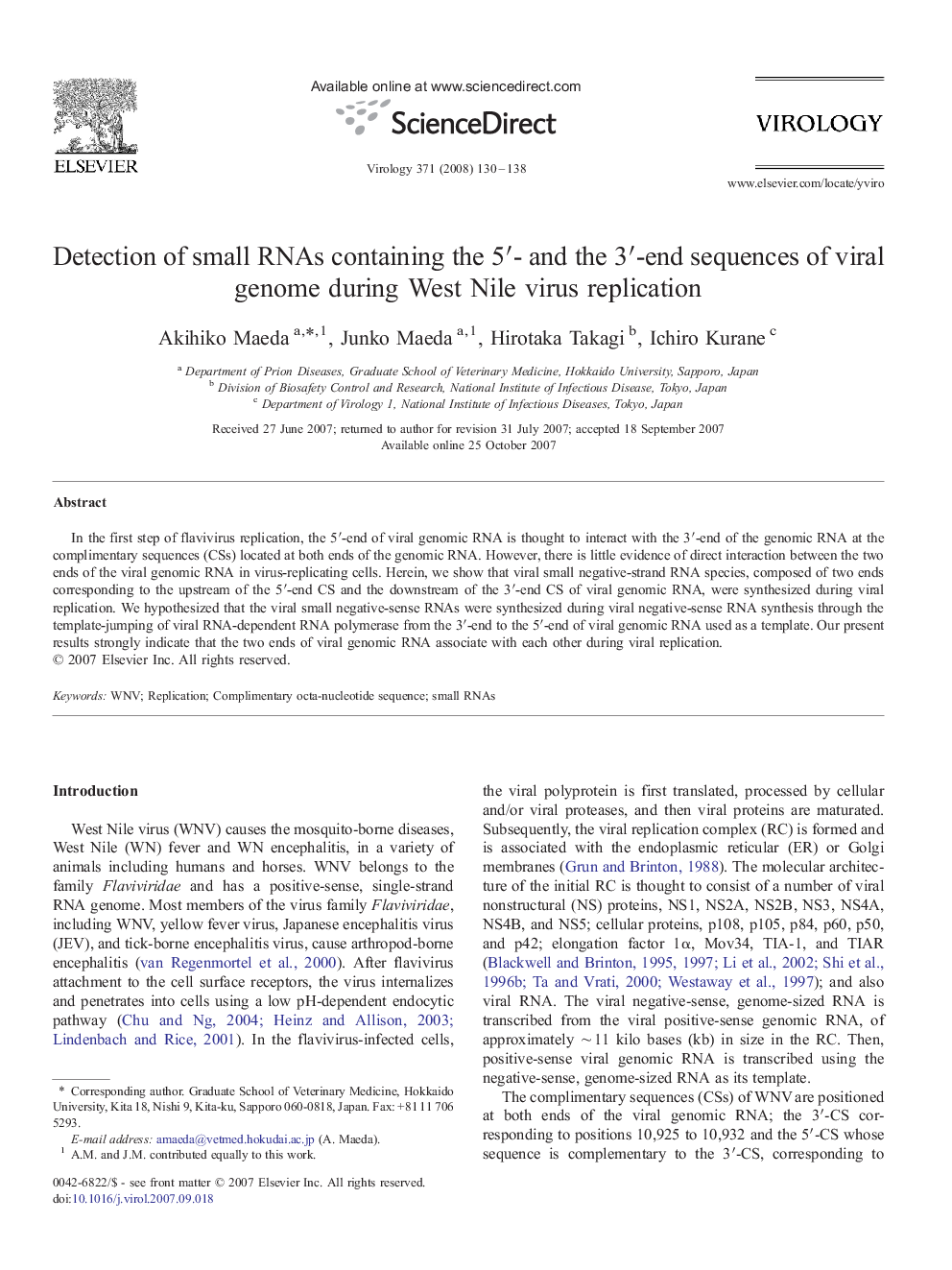 Detection of small RNAs containing the 5′- and the 3′-end sequences of viral genome during West Nile virus replication